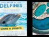 Piden ciudadanos revisar de cerca a los delfines que permanecen confinados en Ventura Park