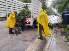 Atiende Servicios Públicos encharcamientos en Puerto Morelos y Leona Vicario