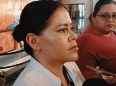 Confirma Ieqroo haber dado millonarios contratos a empresas favorecidas por Taddei