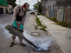 Reportan 28 nuevos contagios en una semana de dengue en Q. Roo