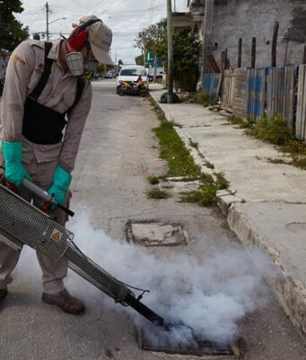 Reportan 28 nuevos contagios en una semana de dengue en Q. Roo